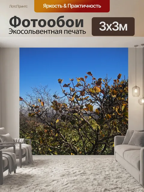 Фотообои сушка желтых листьев на маленьком дереве