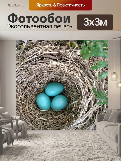 Фотообои Птичье гнездо