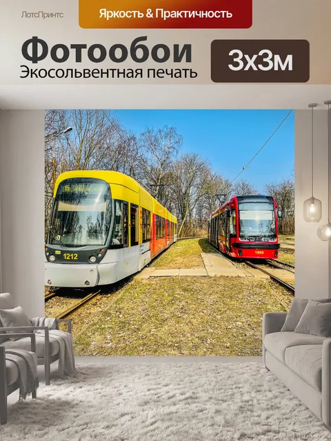 Фотообои Бомбардир