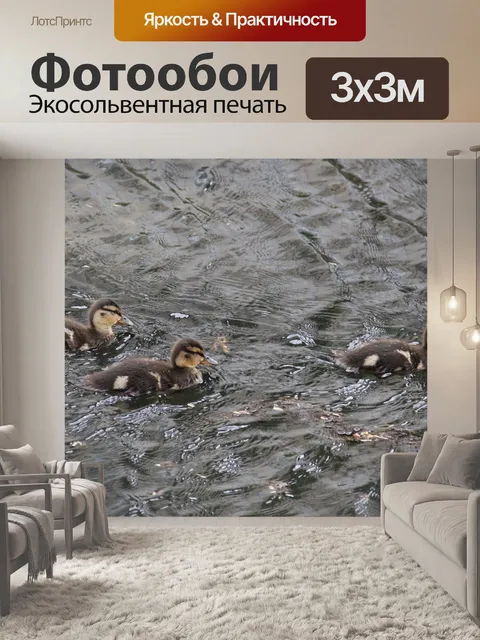 Фотообои Молодые цыплята кряквы