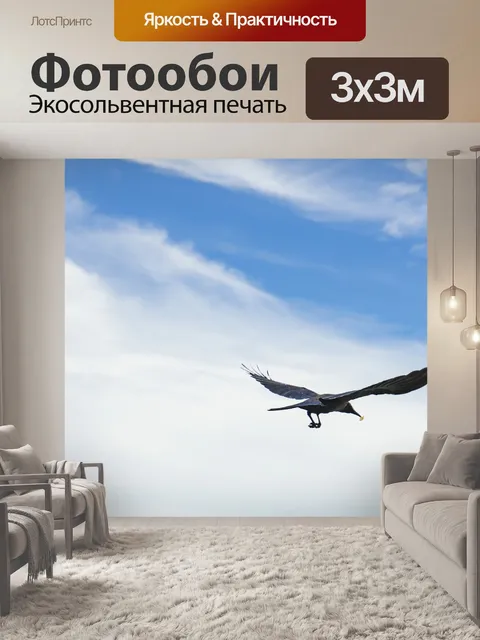 Фотообои Полет