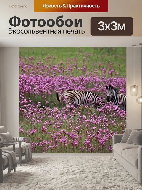 Фотообои зебра контрастирует с полем