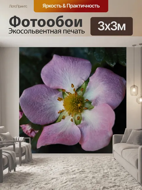 Фотообои нежный розовый цвет клубники