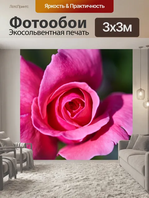 Фотообои Роуз