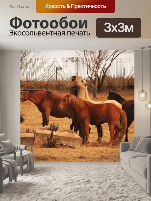 Фотообои взаимодействие между лошадьми