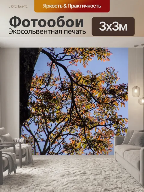 Фотообои Дерево