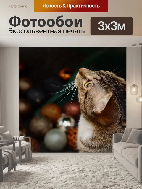 Фотообои Кот