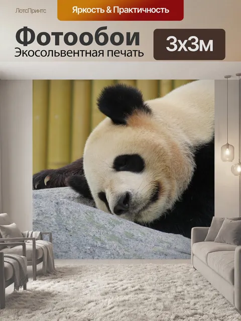 Фотообои Панда, Гигант, Черно-белый, Симпатичный