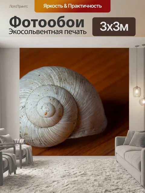 Фотообои Оболочка