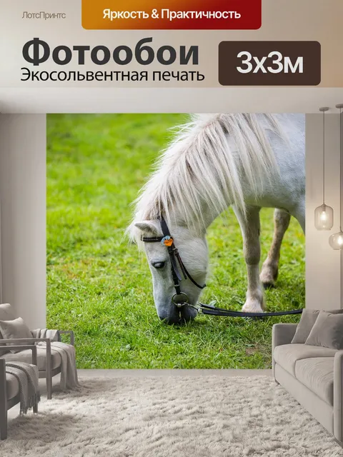 Фотообои Лошадь