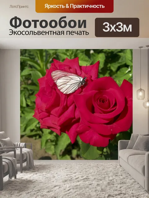 Фотообои Бабочка