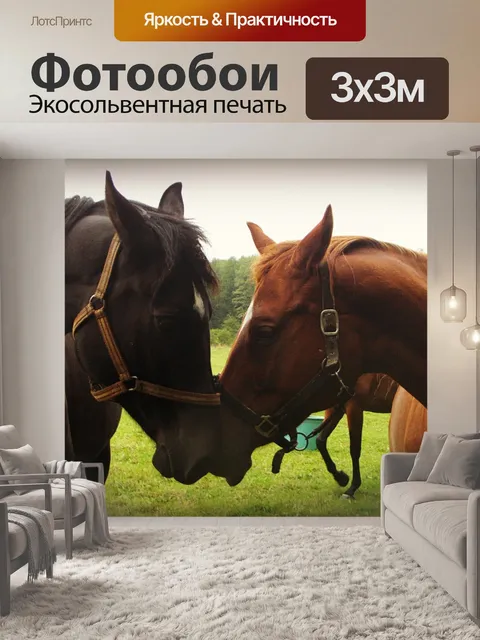 Фотообои Лошадь
