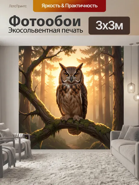Фотообои Сова в лесу на закате