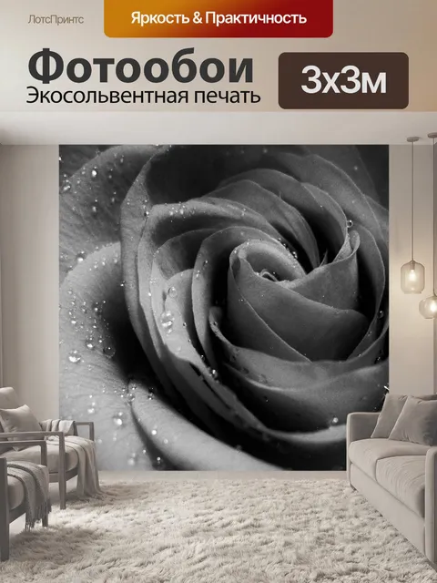Фотообои Роза и капля воды