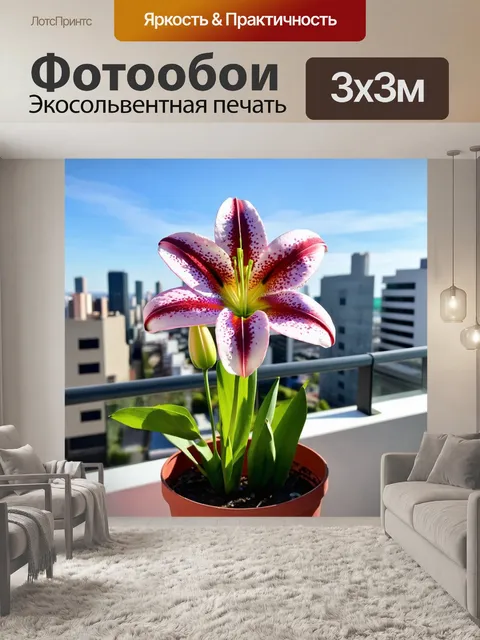 Фотообои лилия, оживлённо цветущая в горшке на балконе с видом на городской пейзаж, символизируя обретение красоты в