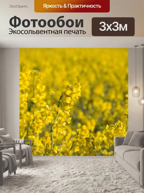 Фотообои Область желтого рапса
