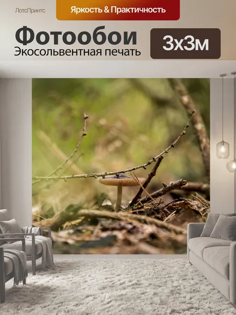 Фотообои грибы