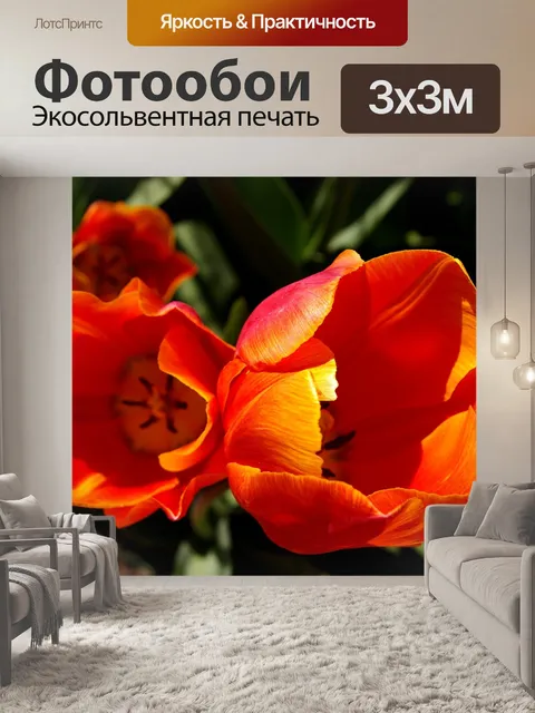 Фотообои Тюльпаны