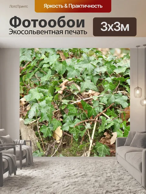 Фотообои Зеленый плющ