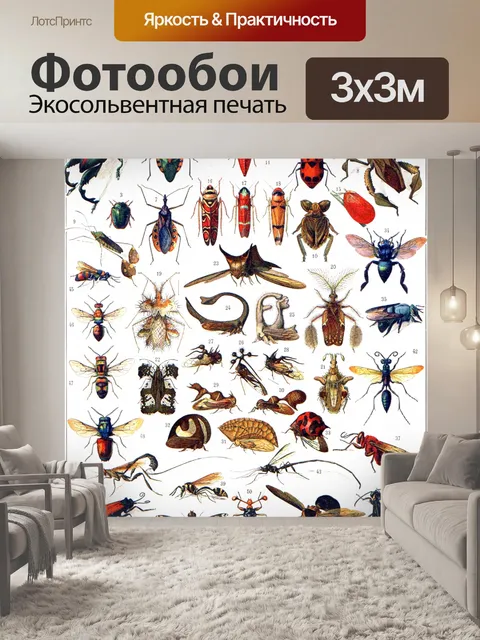 Фотообои Милло насекомые винтажное искусство