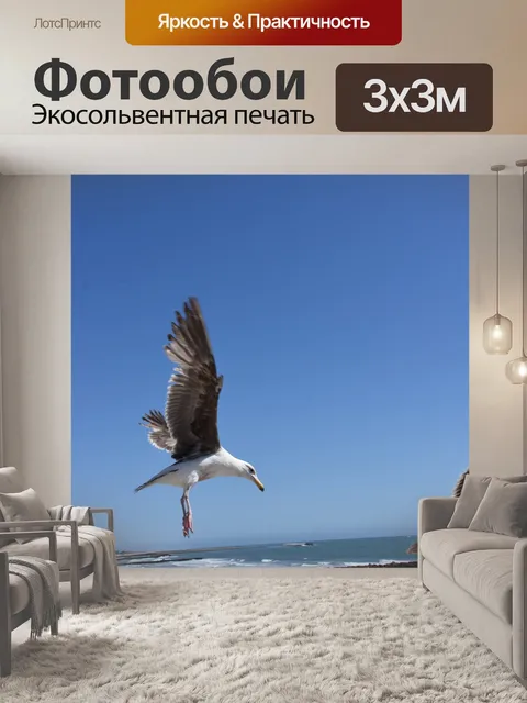 Фотообои посадка чайки