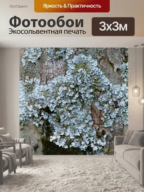 Фотообои Лишайник