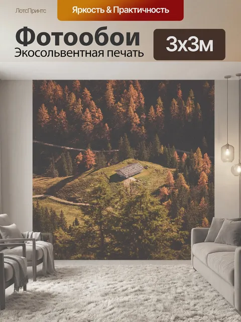 Фотообои Лес