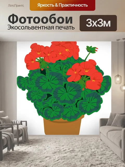 Фотообои Герань