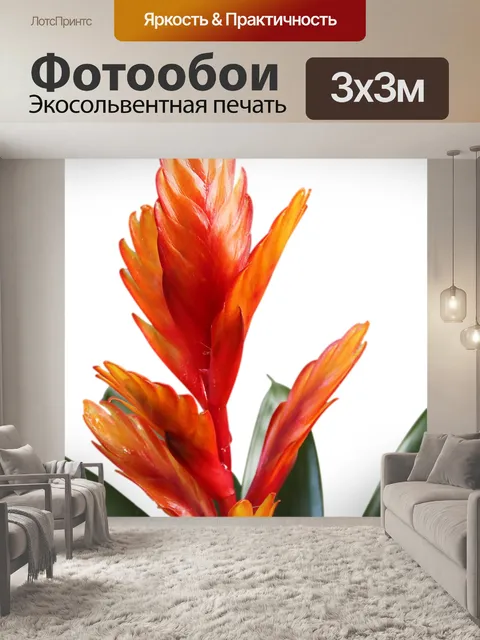 Фотообои Бромелию