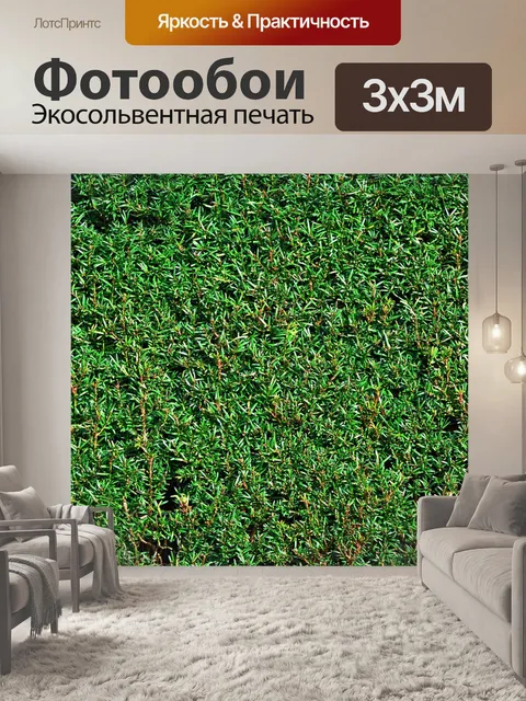 Фотообои Тис