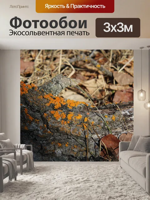 Фотообои Желтый моховый лишайник на дереве