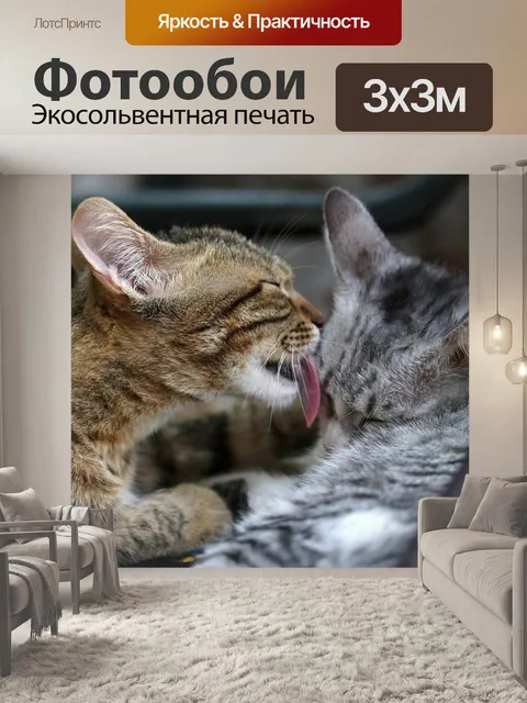 Фотообои Котенок