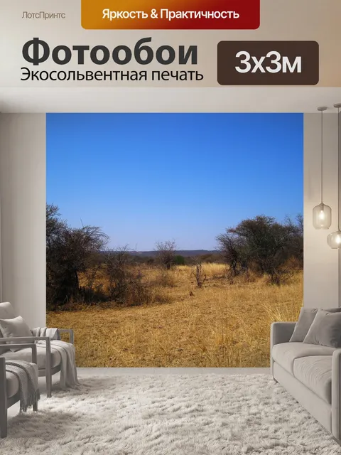 Фотообои Пейзаж с сухим кустарником в Южной Африк