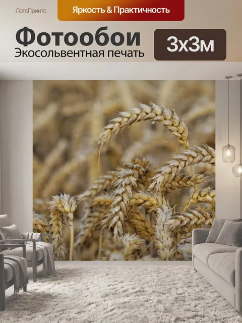 Фотообои Рожь пшеничная урожая ячменя