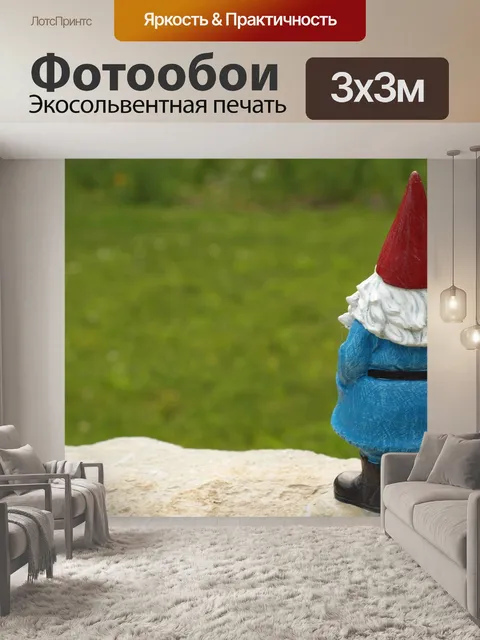 Фотообои садовый гном