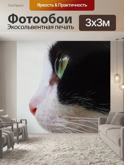 Фотообои Кошка