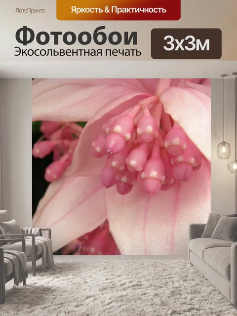 Фотообои Цвести