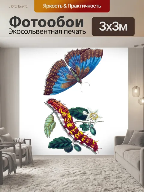 Фотообои Винтаж Клипарт Бабочка Гусеница