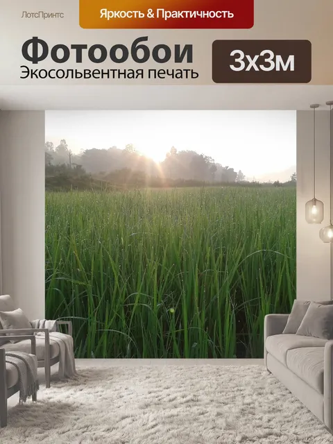 Фотообои Туман