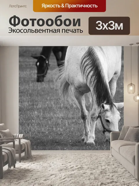 Фотообои Выпас лошадей