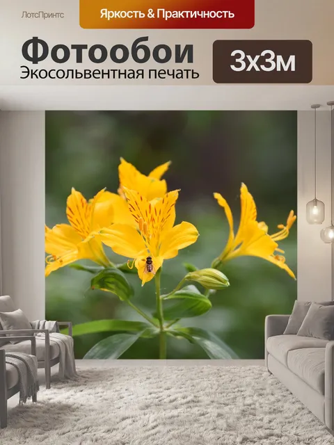Фотообои Насекомое