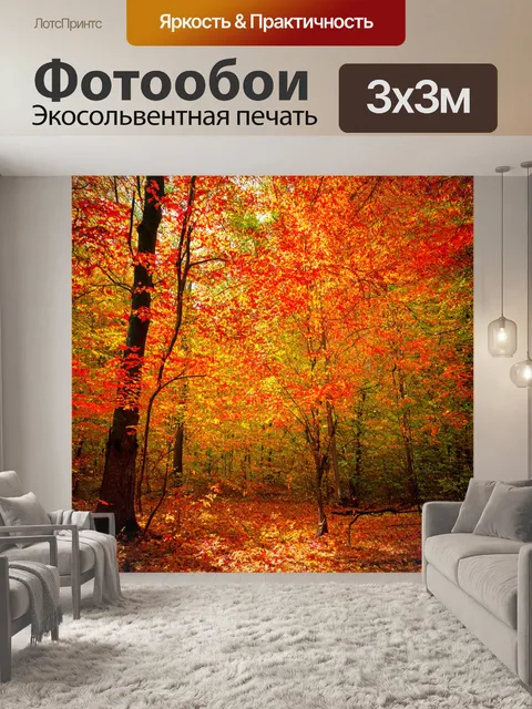 Фотообои осенний лес с яркими разноцветными листьями, падающими с деревьев и покрывающими землю