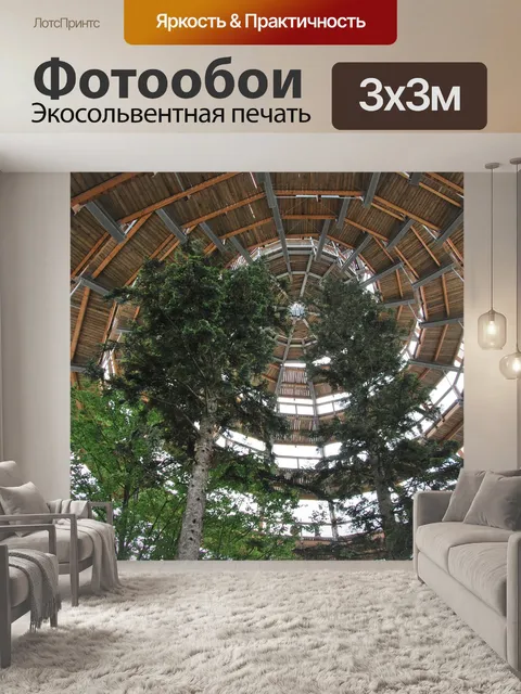 Фотообои Тропинка на верхушках деревьев
