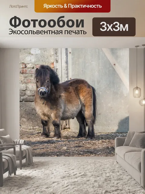 Фотообои Лошадь