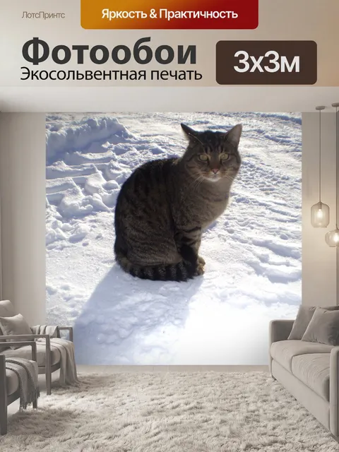 Фотообои Полосатый кот