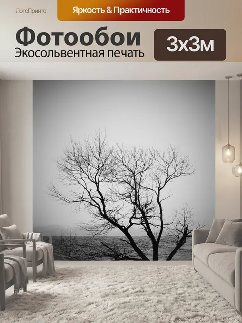 Фотообои Зима