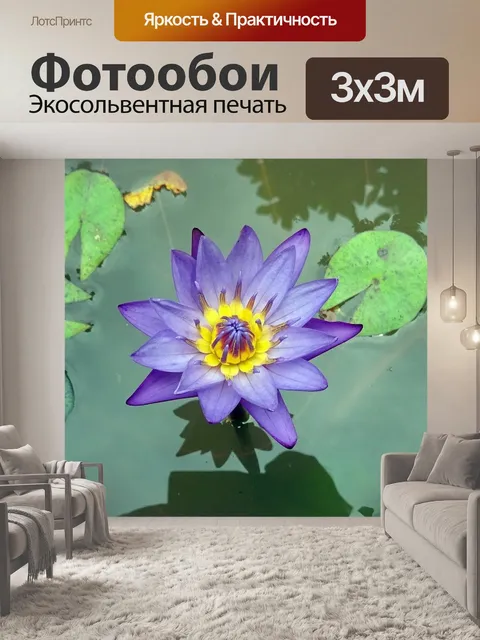 Фотообои Лили