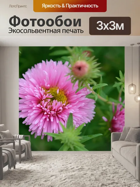 Фотообои Розовый цветок