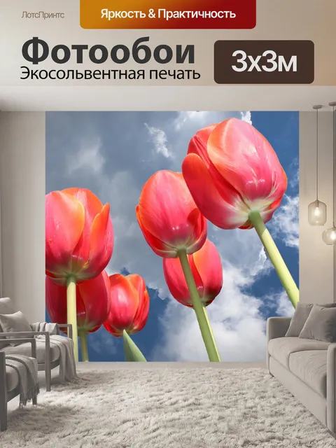 Фотообои Тюльпаны