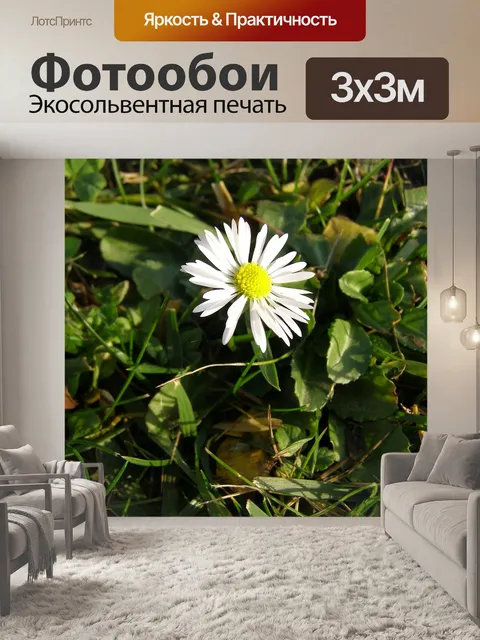Фотообои Дейзи